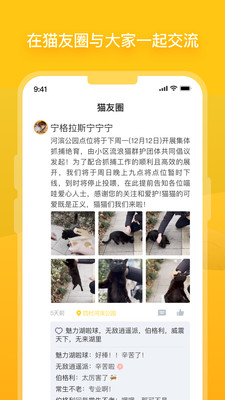 哈啰街猫app截图