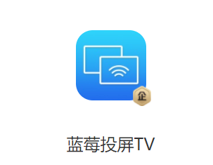 蓝莓投屏TV