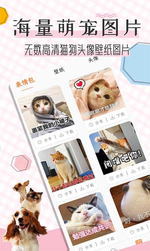 猫语翻译宝截图