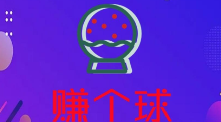 赚个球