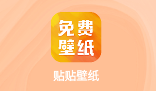 贴贴壁纸app