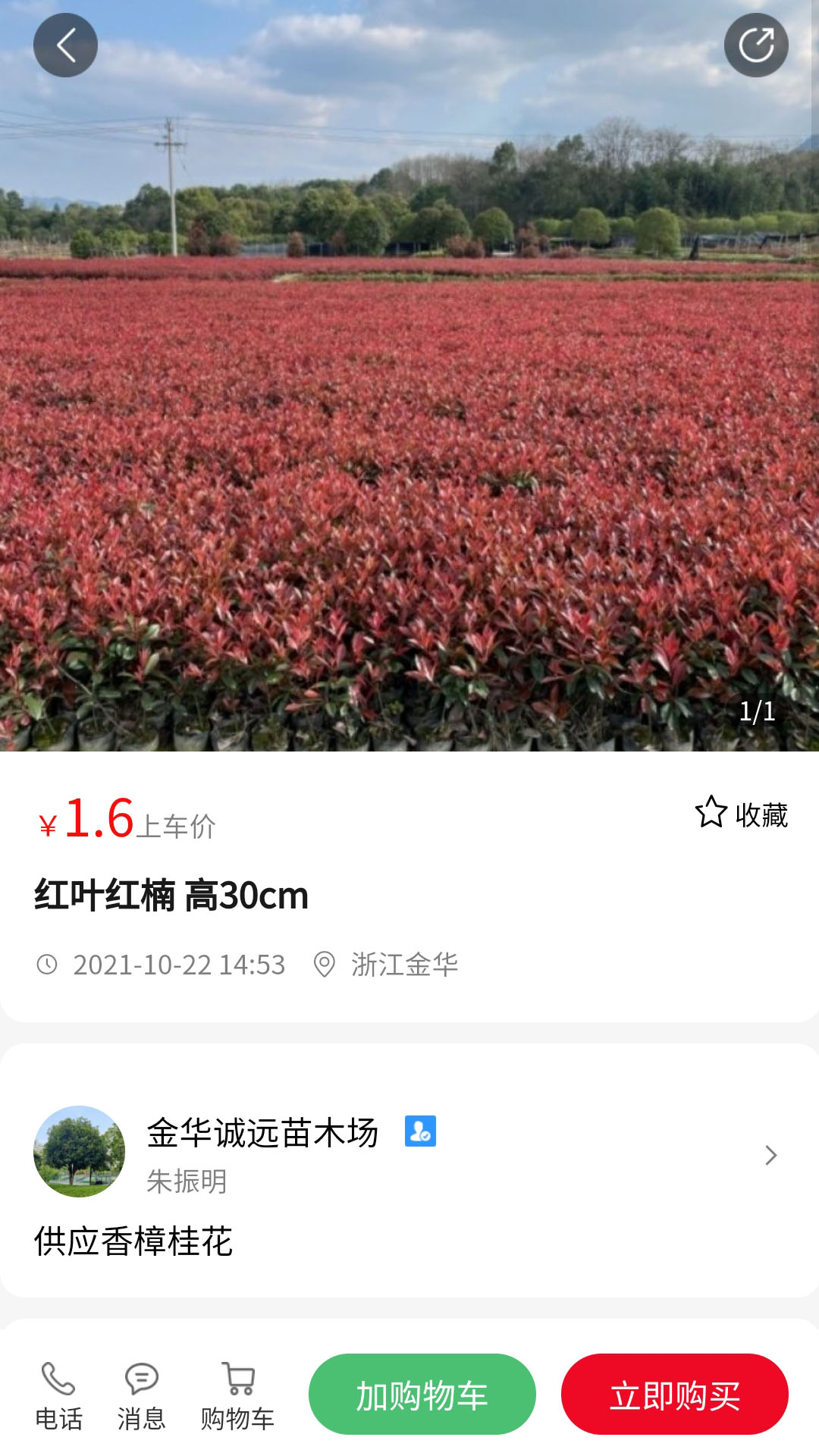 苗青青app截图