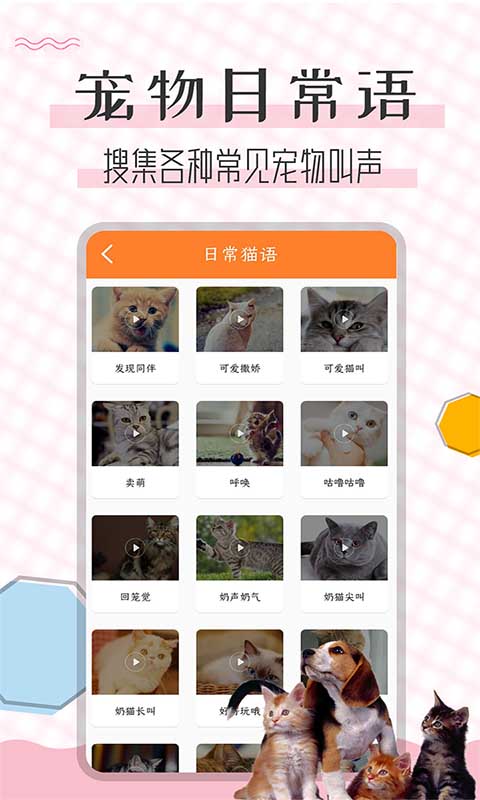 猫语翻译宝截图