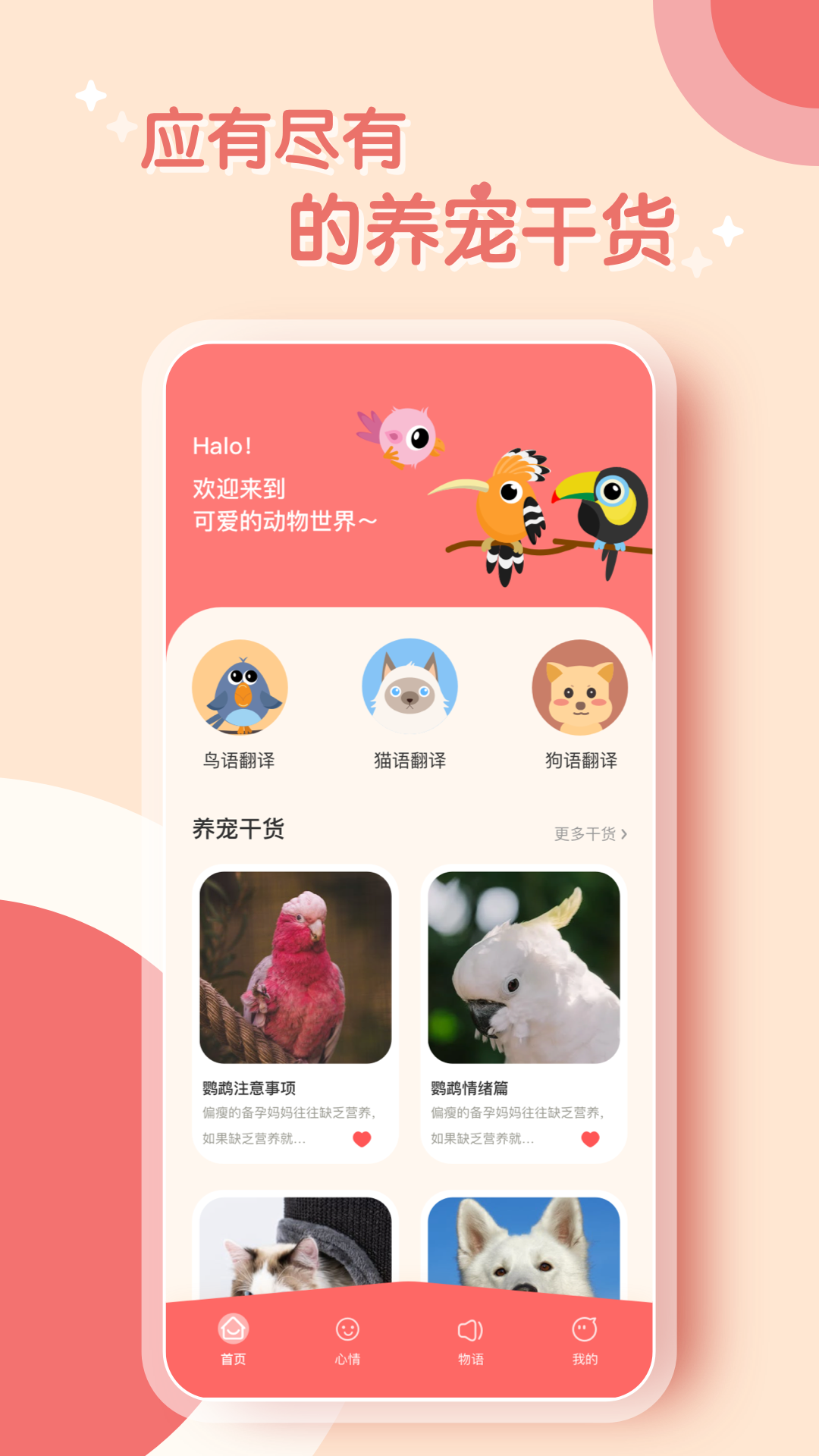 鸟语翻译器app截图