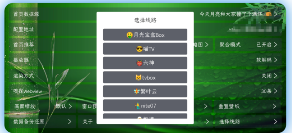 懒猫tv app