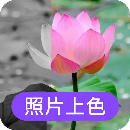 照片上色app