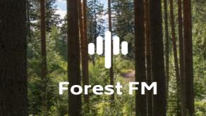 森林白噪音app