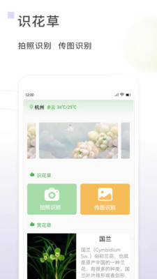 一花草app截图