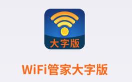 WiFi管家大字版app