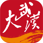 大武汉app