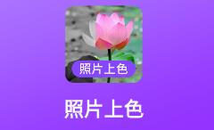 照片上色app