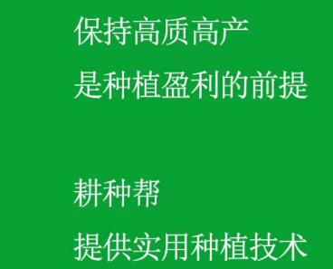 耕种帮种植网下载