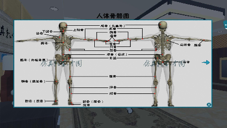 老年护理app