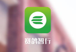 赛鸽智行app