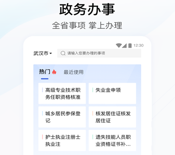 绥意办app