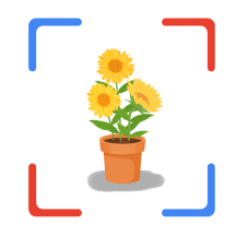 花朵识别app