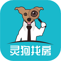 灵狗找房app