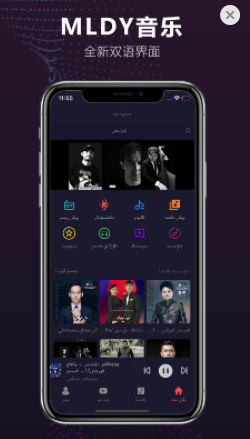 MLDY音乐app
