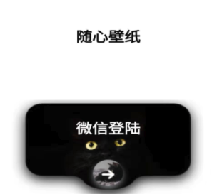 随心壁纸app