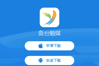 鱼台融媒app