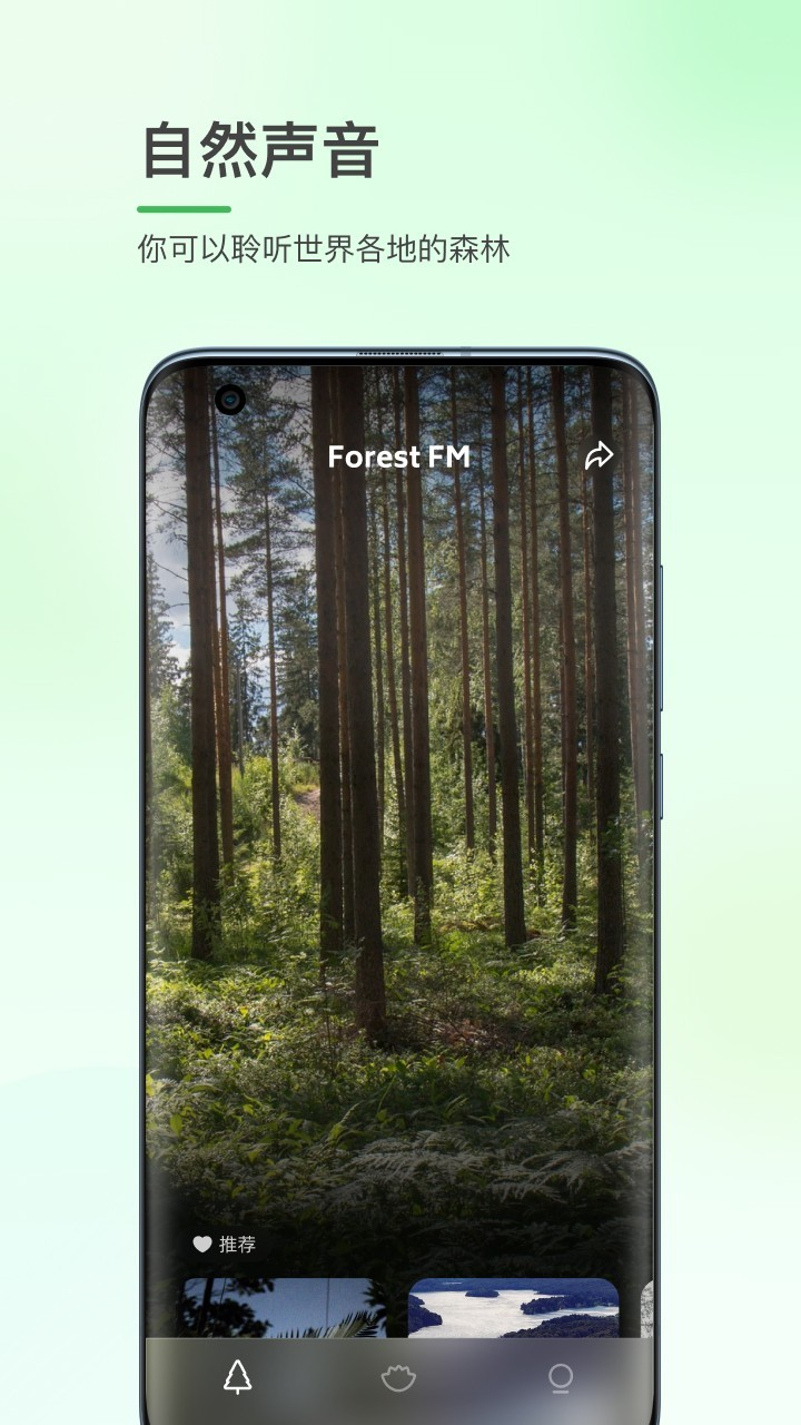 森林白噪音app截图