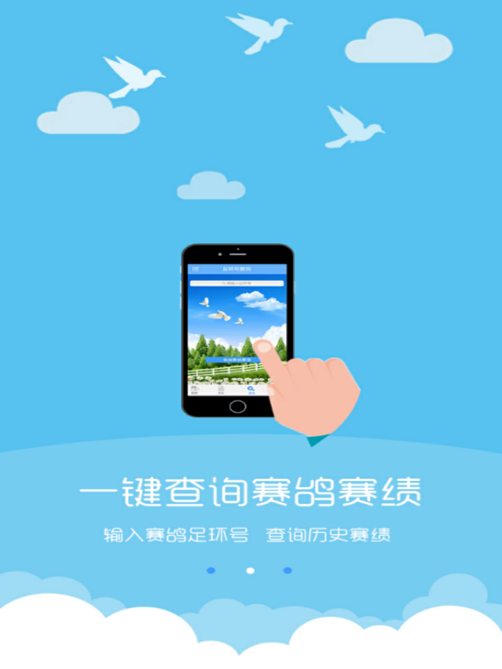 中鸽网直播app下载截图