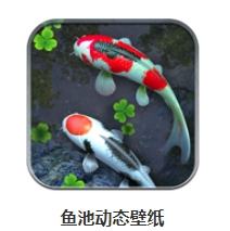 鱼池app