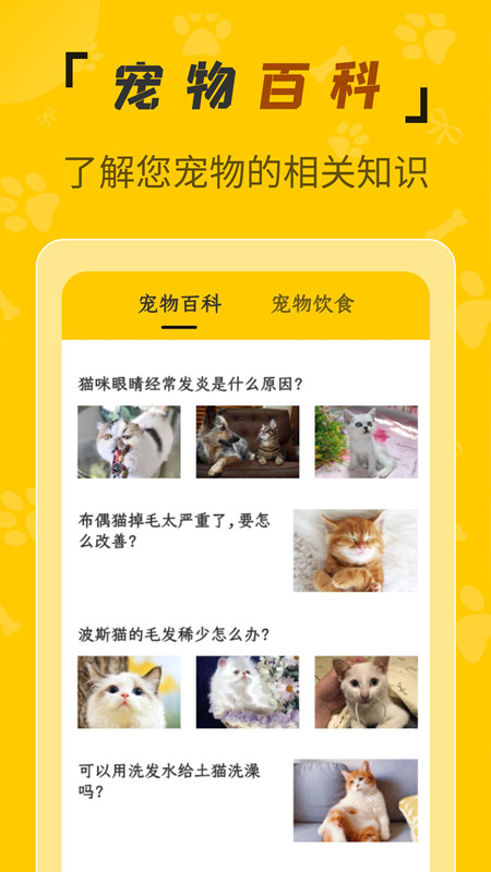 人猫翻译机app截图