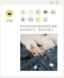 dailybean中文版app