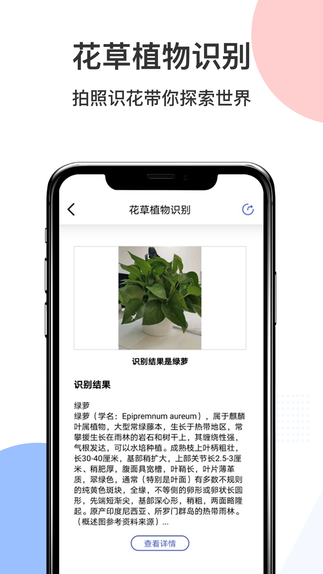 智慧识图app截图