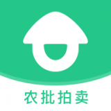 道农拍app