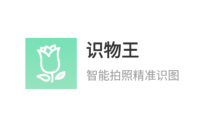 识物王app