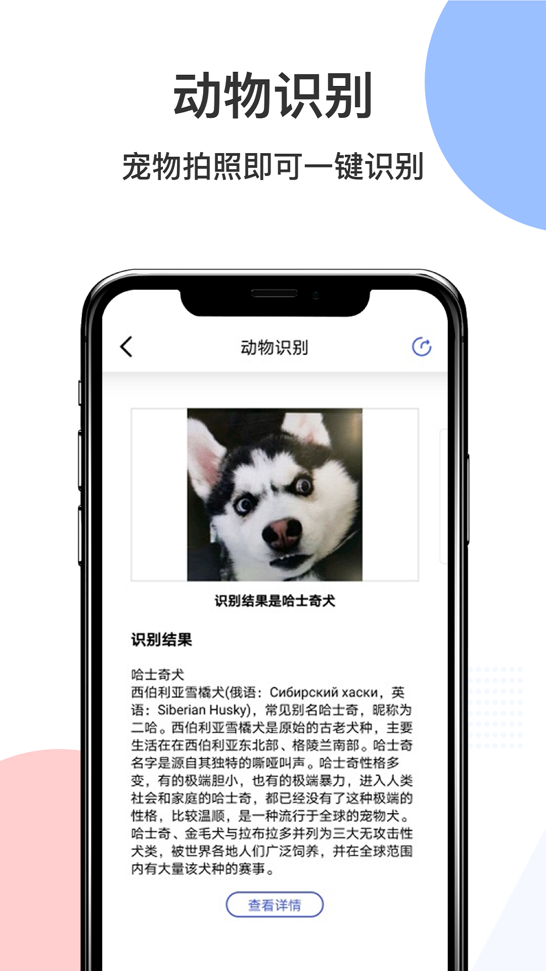 智慧识图app截图