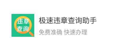 极速违章查询助手app