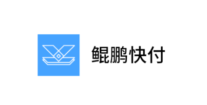 鲲鹏快付app