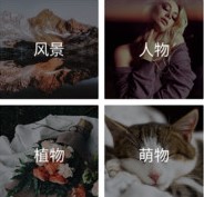 沃尔壁纸app