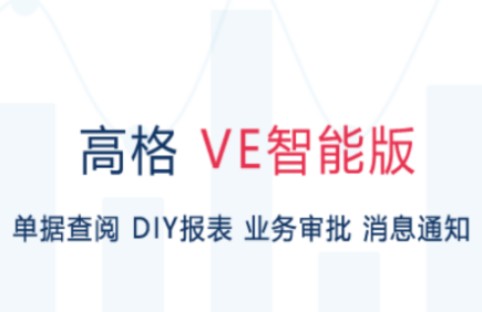 高格VE智能版app