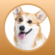狗狗图鉴app