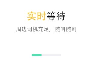 蚂蚁专业代驾司机端