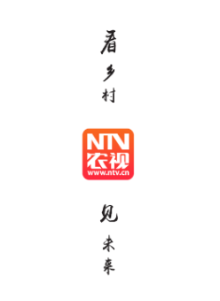 农视NTV