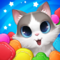 猫比赛消除Cat Match - Free Puzzle Game