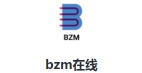 bzm在线app
