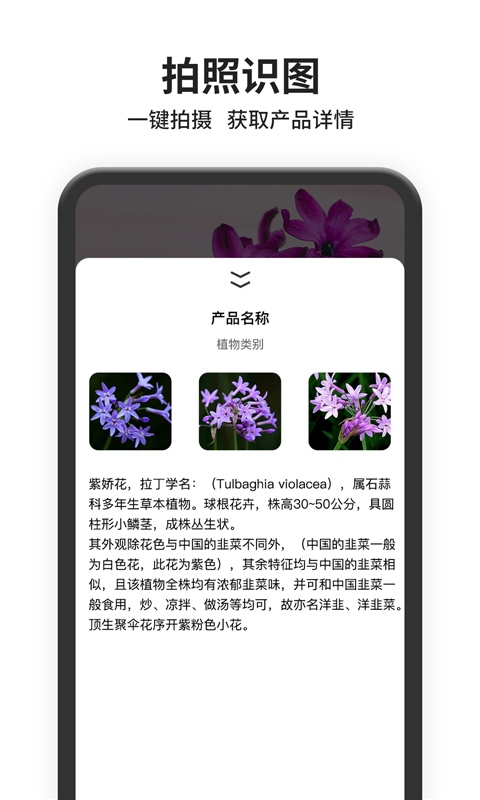 图片搜索app截图