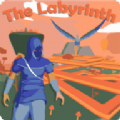 The Labyrinth: Lost Island(迷宫失落的岛屿游戏)