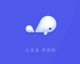 小京鱼app下载