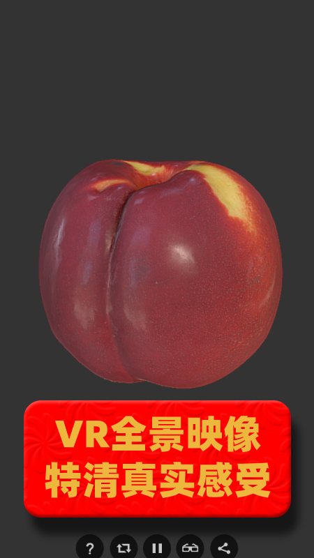 vr全景视频大全app截图