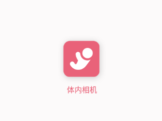 体内相机app