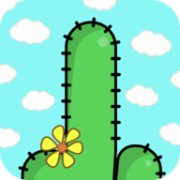 仙人掌仙人掌（Cactus, Cactus!）