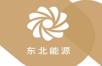 东北e能源app