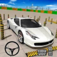 疯狂的停车场3D(Car Parking Game)